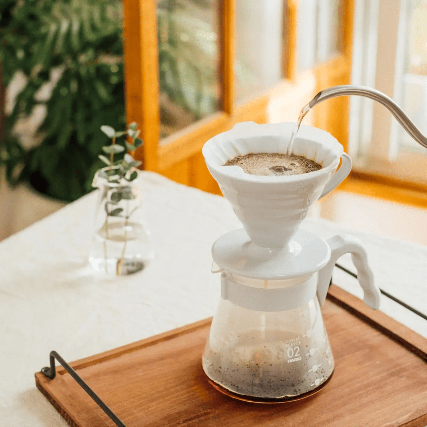 HARIO V60 Coffee Dripper/Server 02 Set - café la maison J.