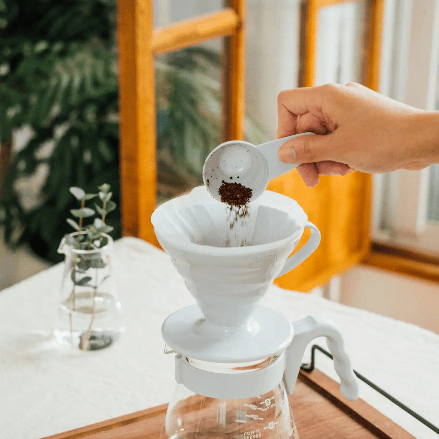 HARIO V60 Coffee Dripper/Server 02 Set - café la maison J.