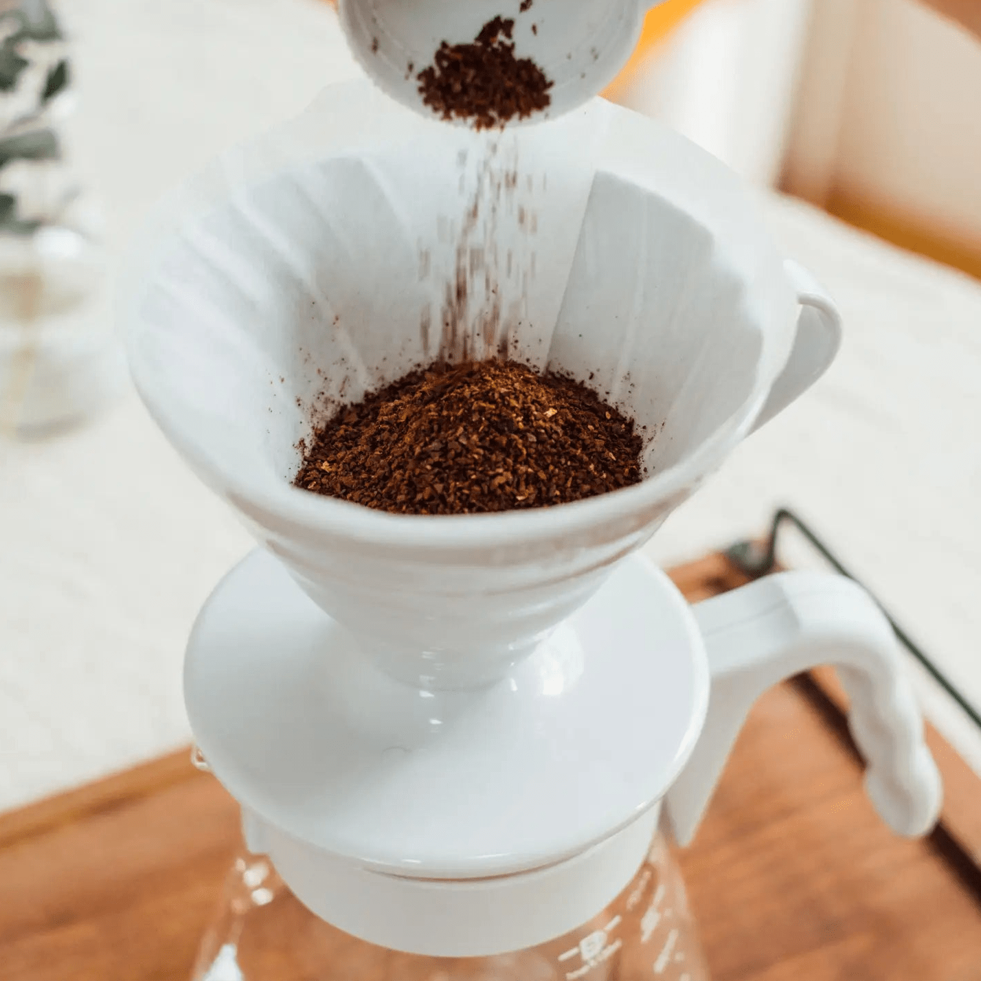 HARIO V60 Coffee Dripper/Server 02 Set - café la maison J.