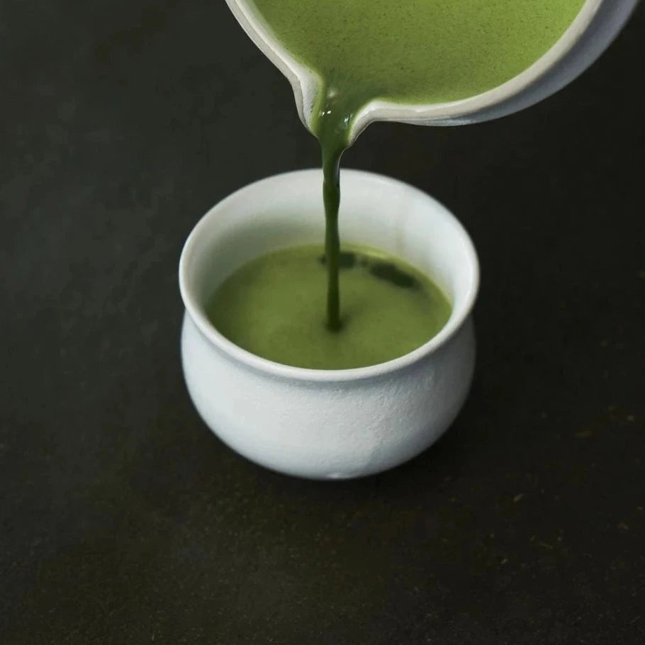 Pouring matcha to a cloud white ORIGAMI pinot Flavor bowl