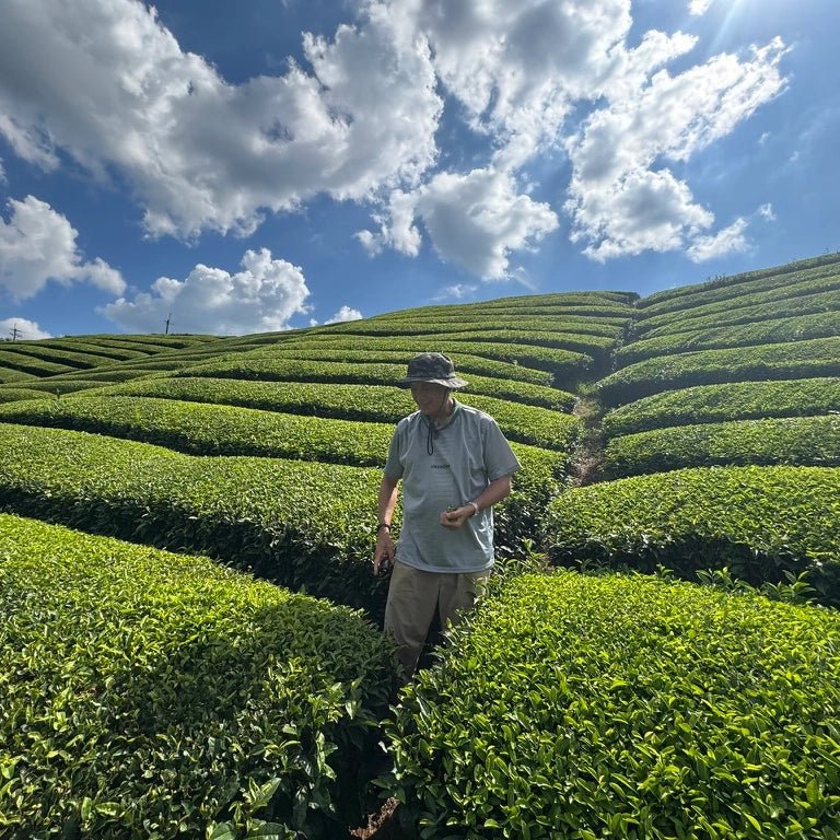 A man wearing a safari hat walking through a green tea farm
