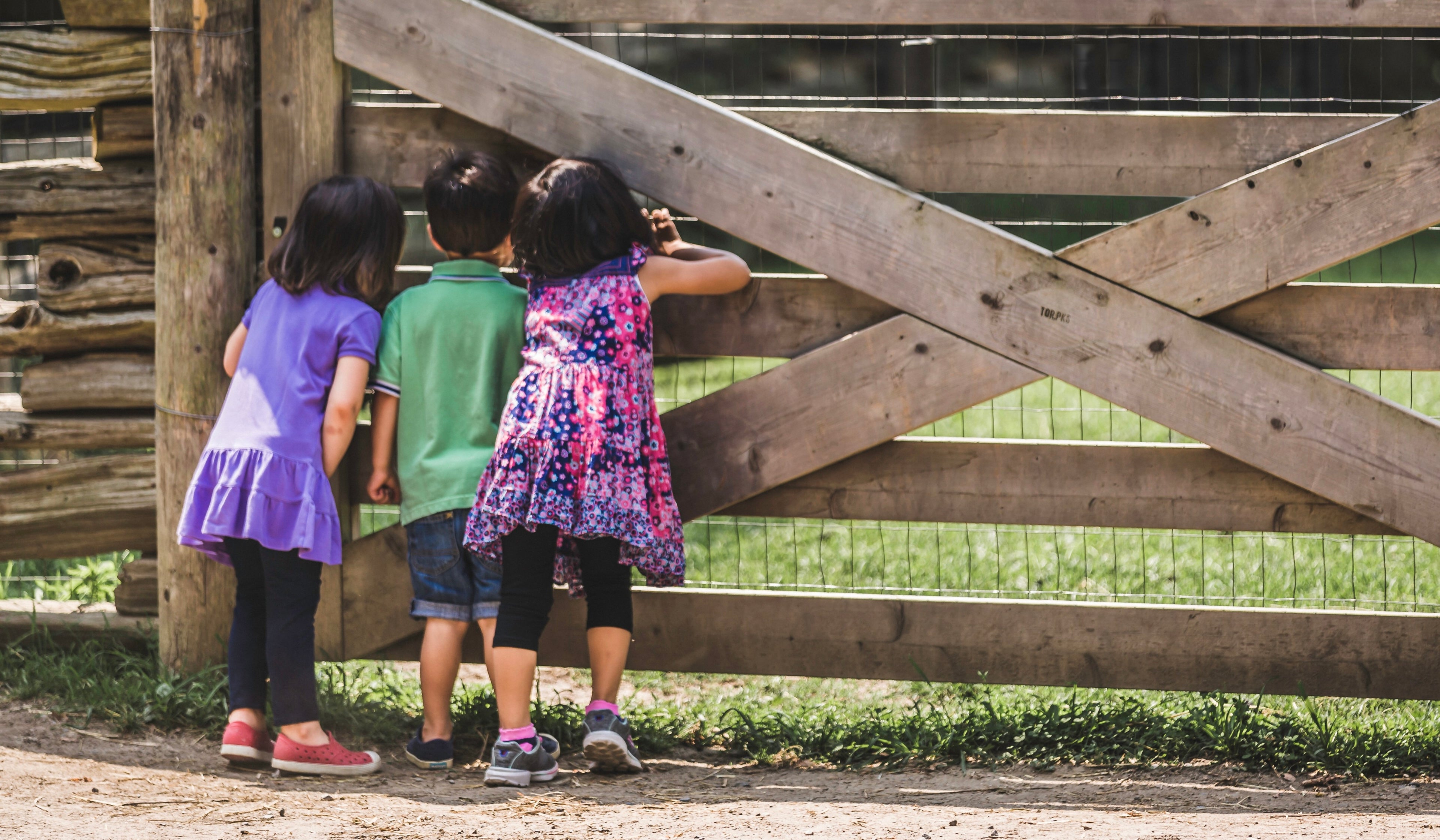 Three kids looking into a wooden farm gate