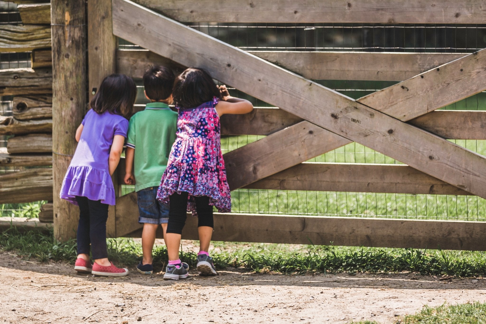 Three kids at the farm